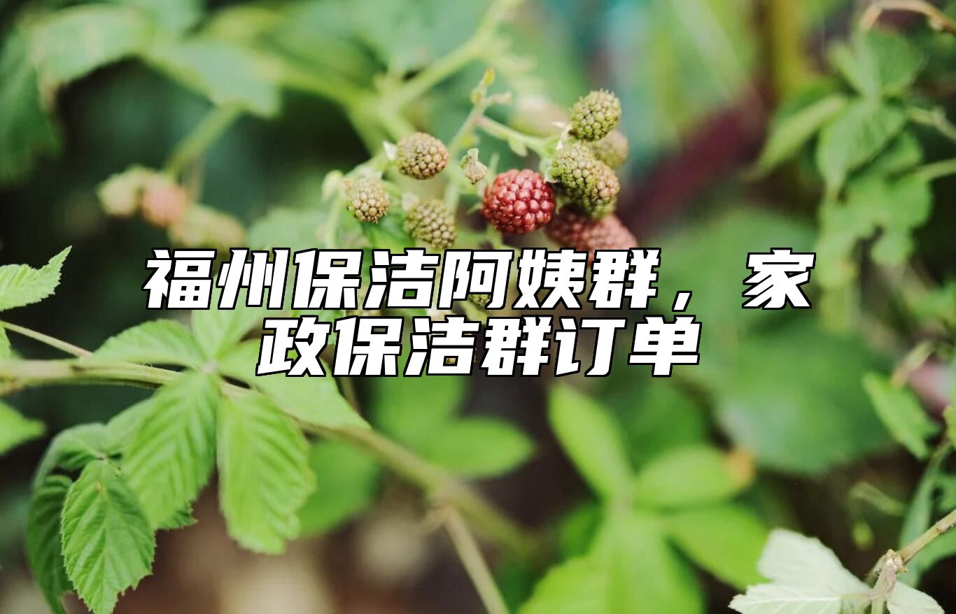 福州保洁阿姨群，家政保洁群订单