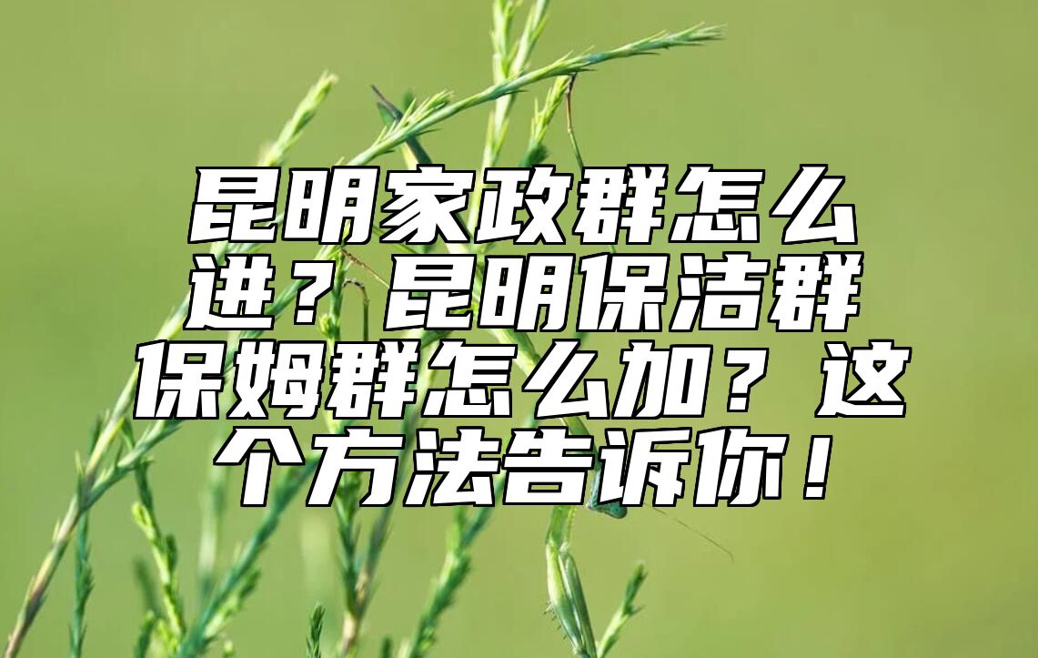 昆明家政群怎么进？昆明保洁群保姆群怎么加？这个方法告诉你！ 