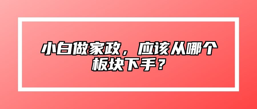 小白做家政，应该从哪个板块下手？