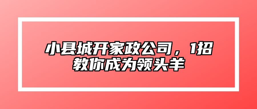 小县城开家政公司，1招教你成为领头羊