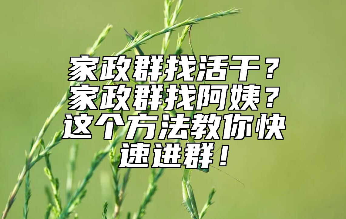 家政群找活干？家政群找阿姨？这个方法教你快速进群！