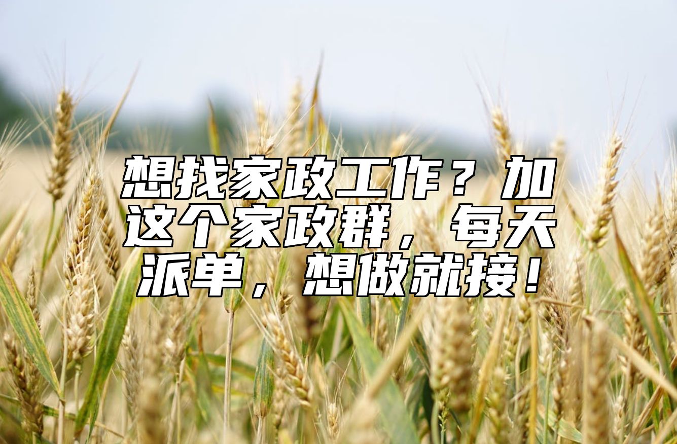 想找家政工作？加这个家政群，每天派单，想做就接！