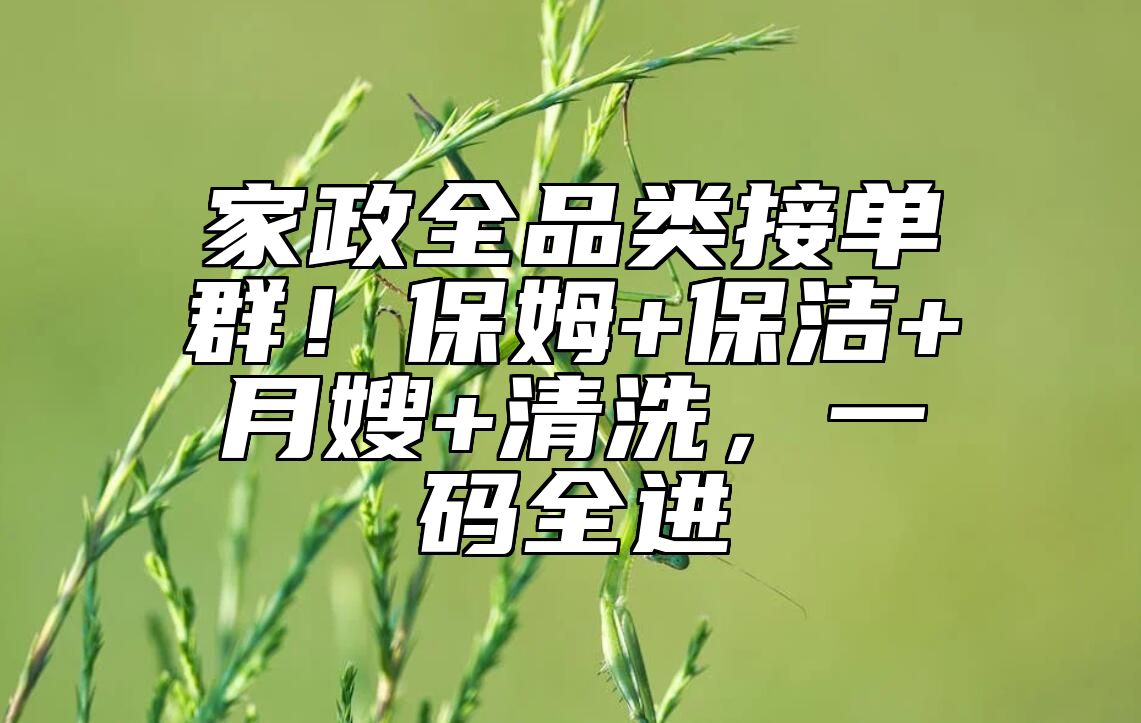 家政全品类接单群！保姆+保洁+月嫂+清洗，一码全进