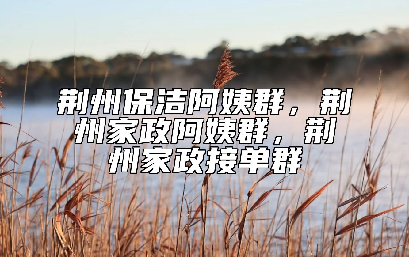 荆州保洁阿姨群，荆州家政阿姨群，荆州家政接单群