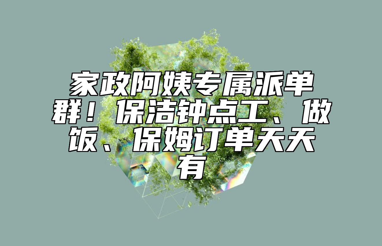 家政阿姨专属派单群！保洁钟点工、做饭、保姆订单天天有