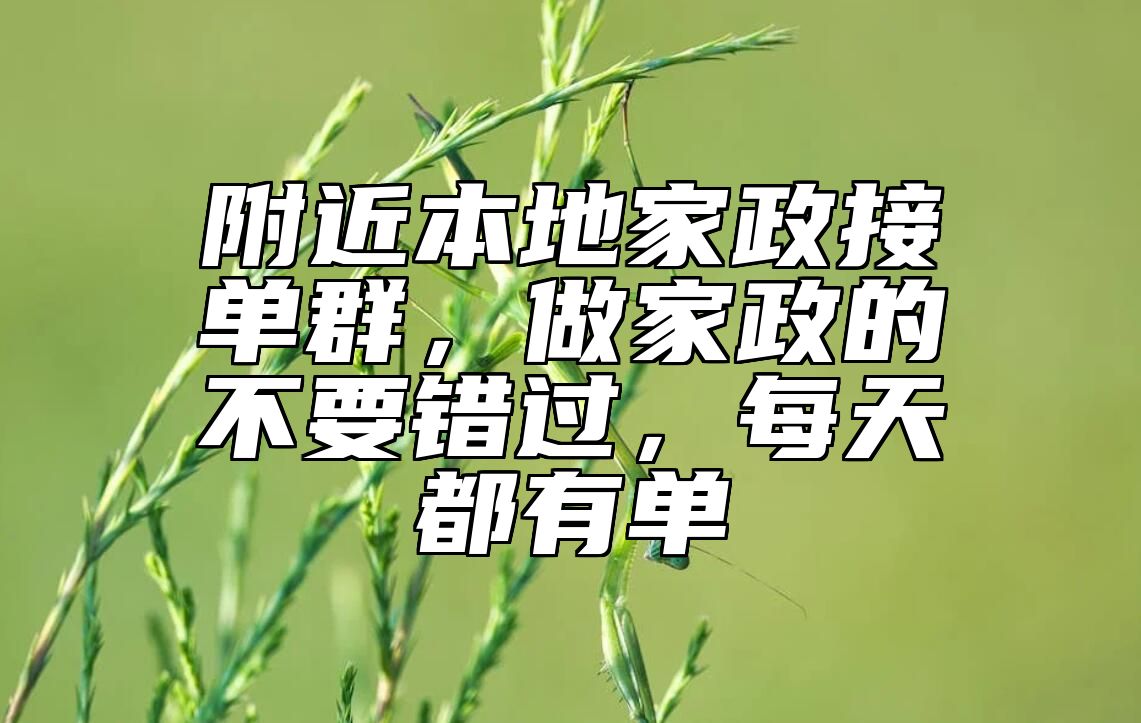 附近本地家政接单群，做家政的不要错过，每天都有单