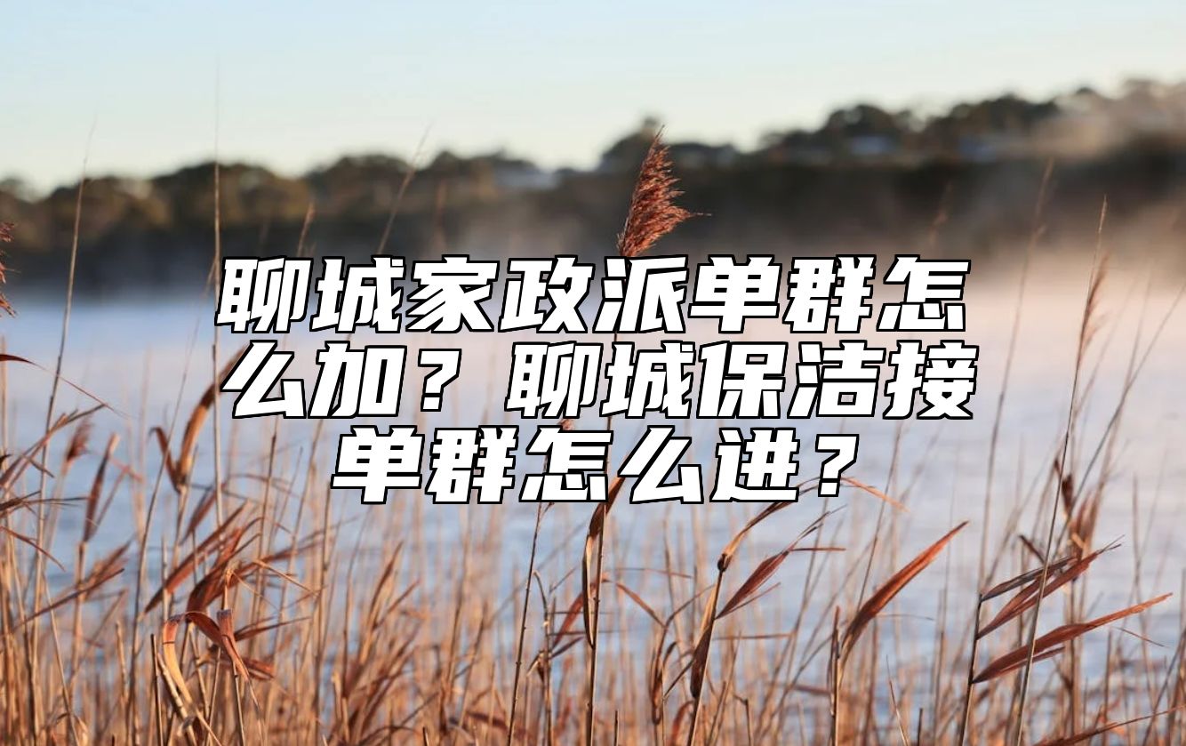 聊城家政派单群怎么加？聊城保洁接单群怎么进？