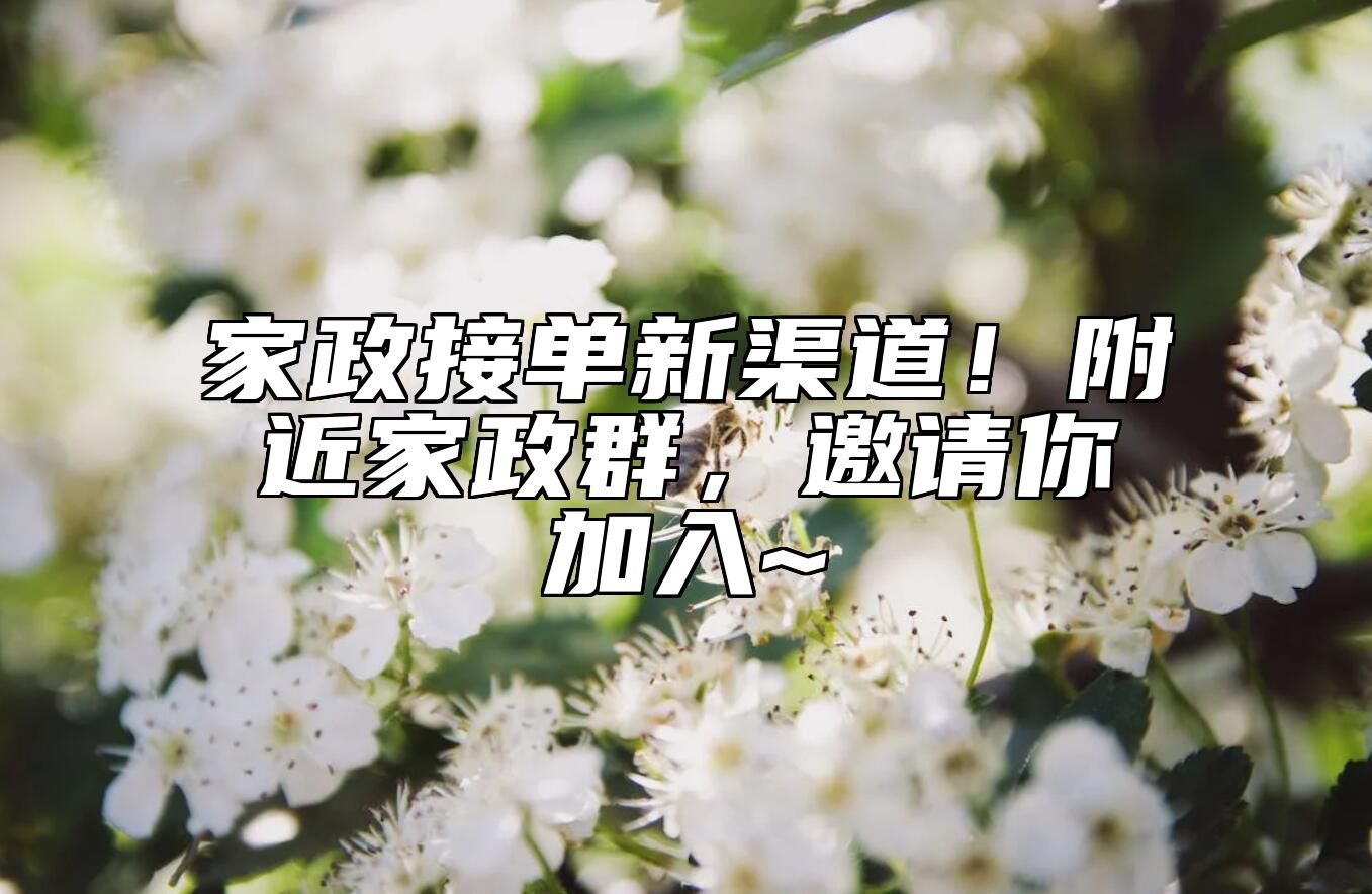 家政接单新渠道！附近家政群，邀请你加入~