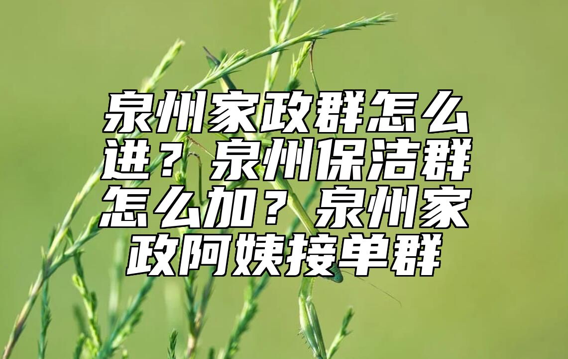 泉州家政群怎么进？泉州保洁群怎么加？泉州家政阿姨接单群