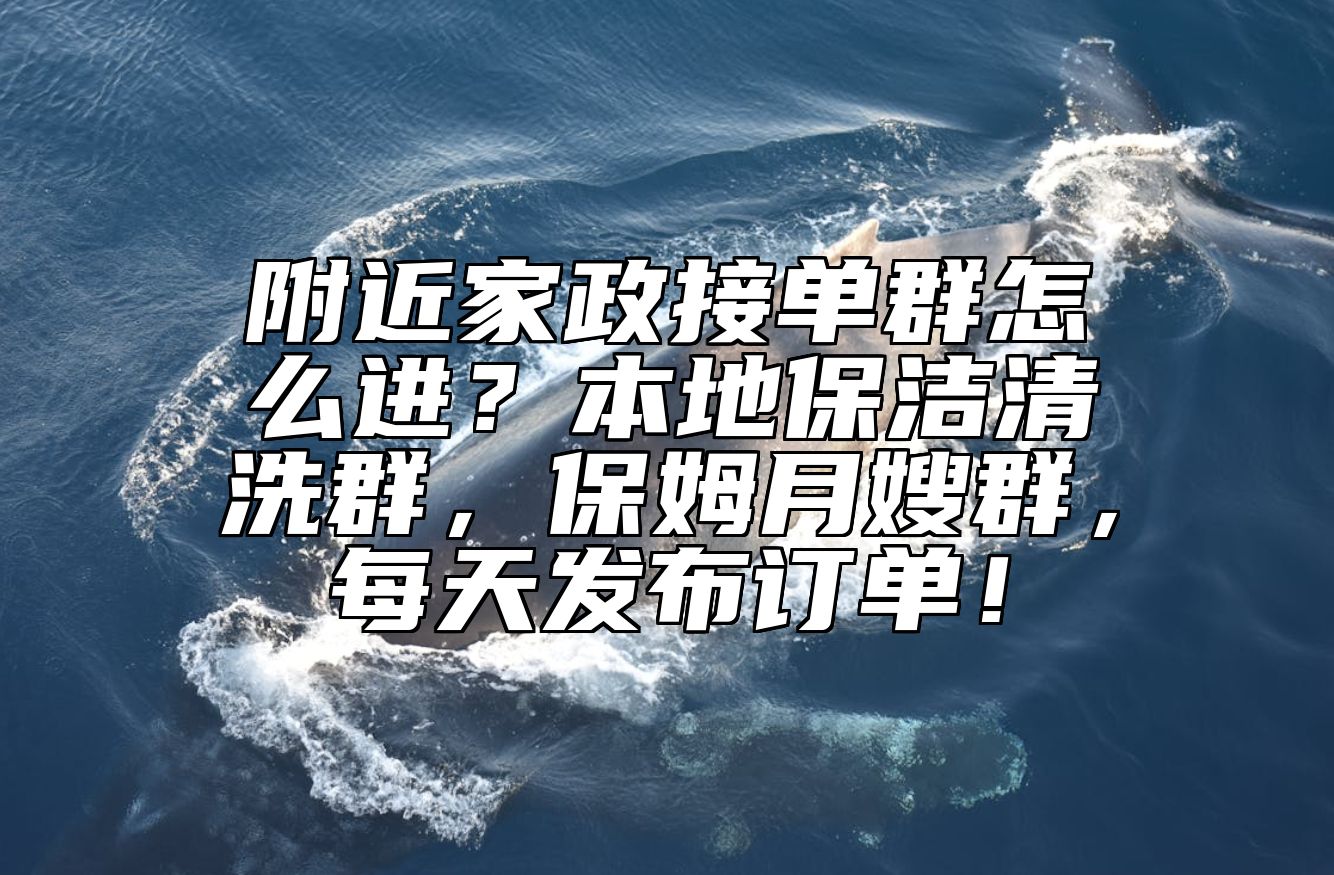 附近家政接单群怎么进？本地保洁清洗群，保姆月嫂群，每天发布订单！