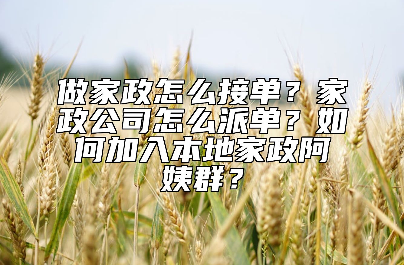 做家政怎么接单？家政公司怎么派单？如何加入本地家政阿姨群？