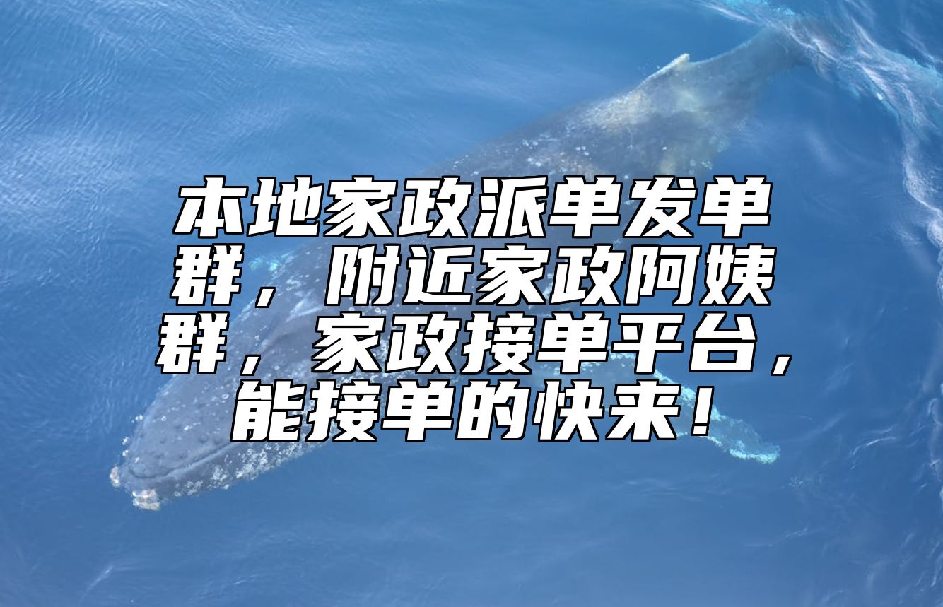 本地家政派单发单群,附近家政阿姨群,家政接单平台,能接单的快来! 本地家政派单发单群,附近家政阿姨群,家政接单平台,能接单的快来!