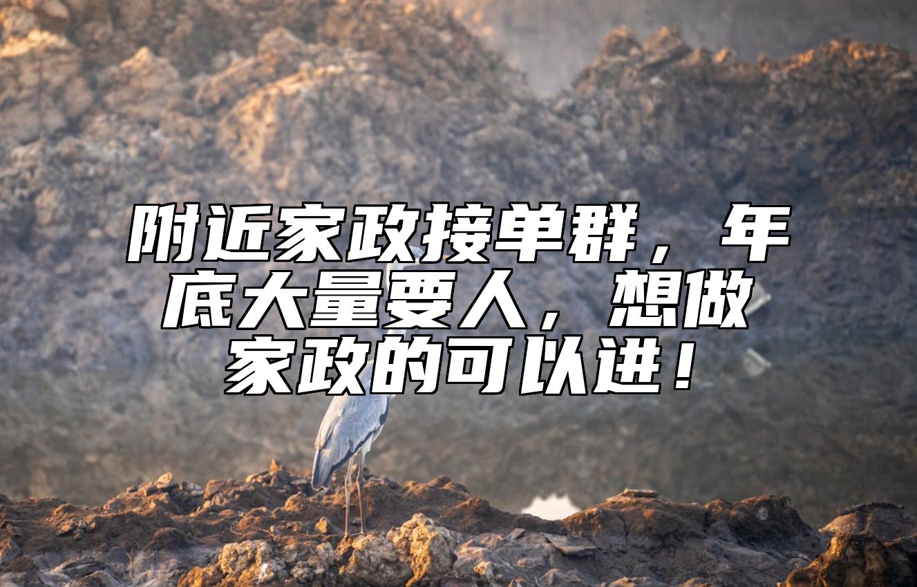 附近家政接单群，年底大量要人，想做家政的可以进！