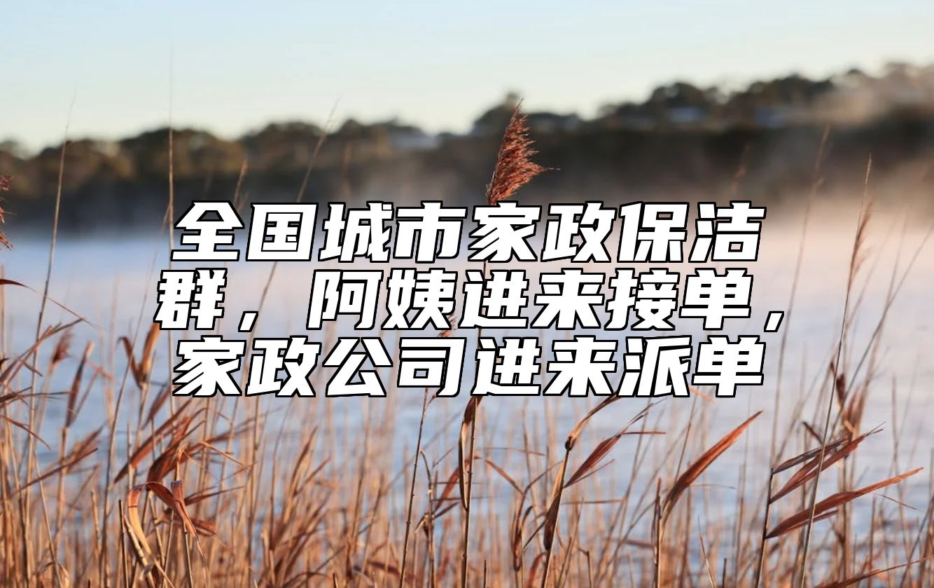 全国城市家政保洁群，阿姨进来接单，家政公司进来派单
