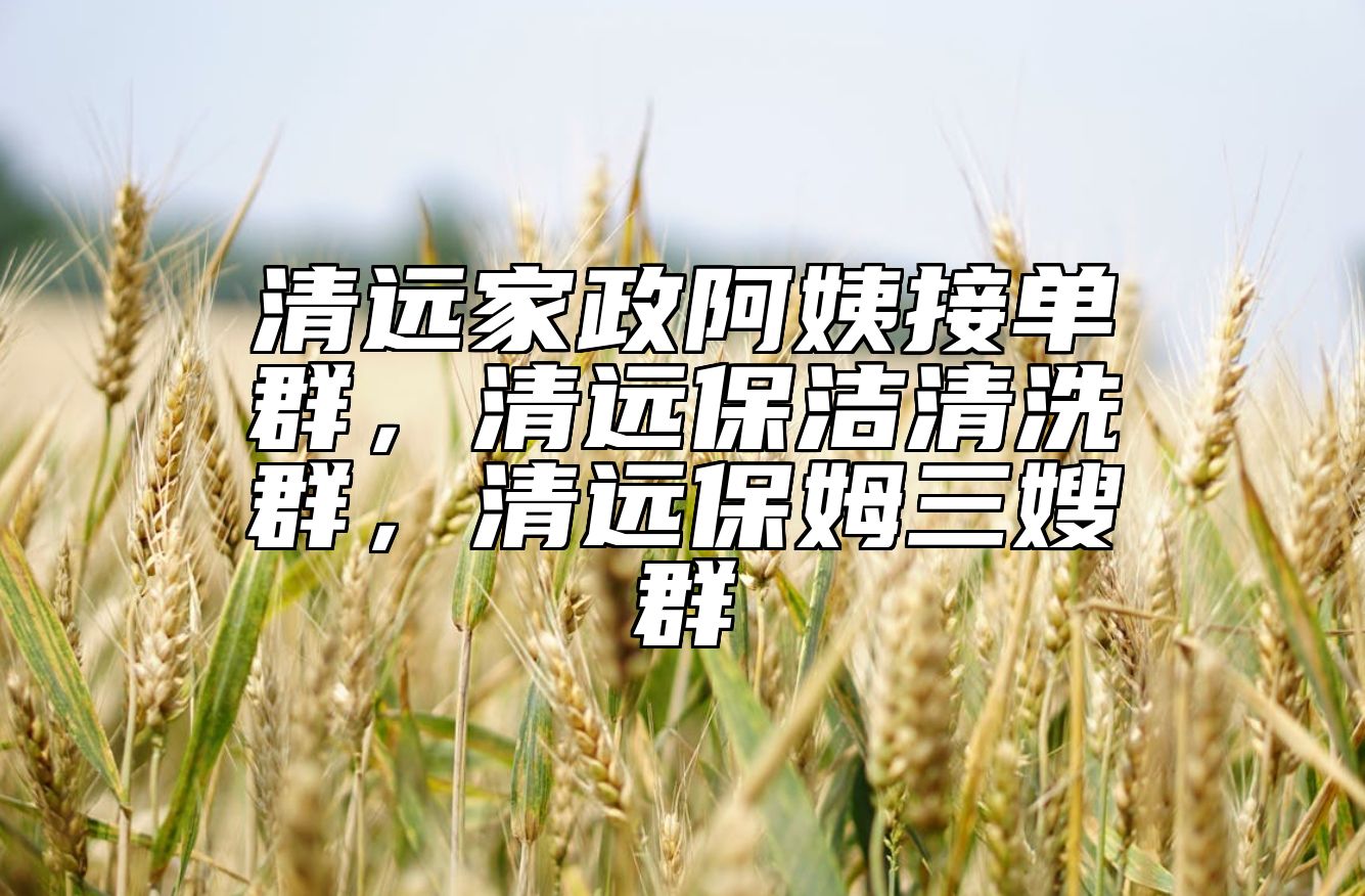 清远家政阿姨接单群，清远保洁清洗群，清远保姆三嫂群