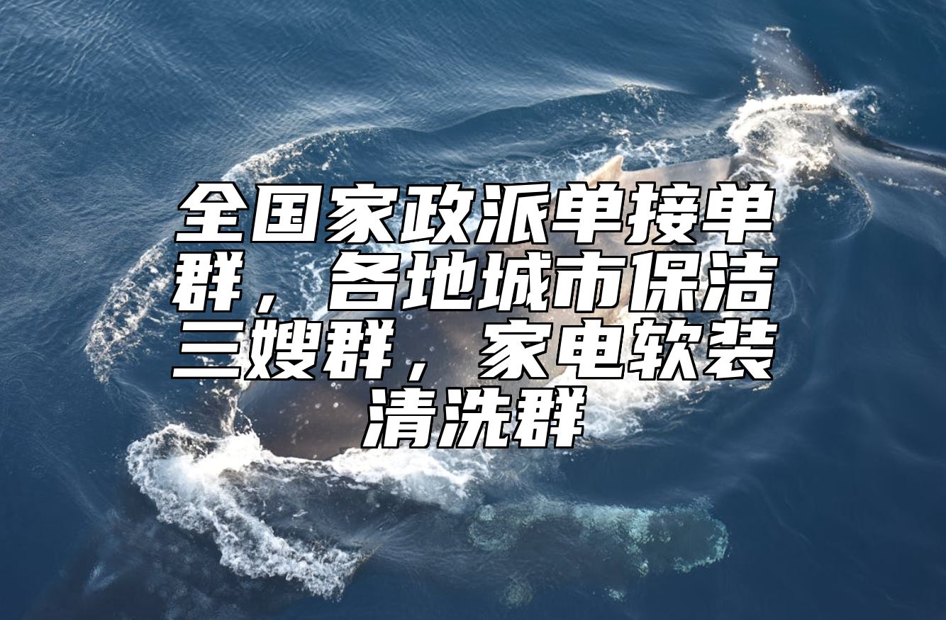 全国家政派单接单群，各地城市保洁三嫂群，家电软装清洗群