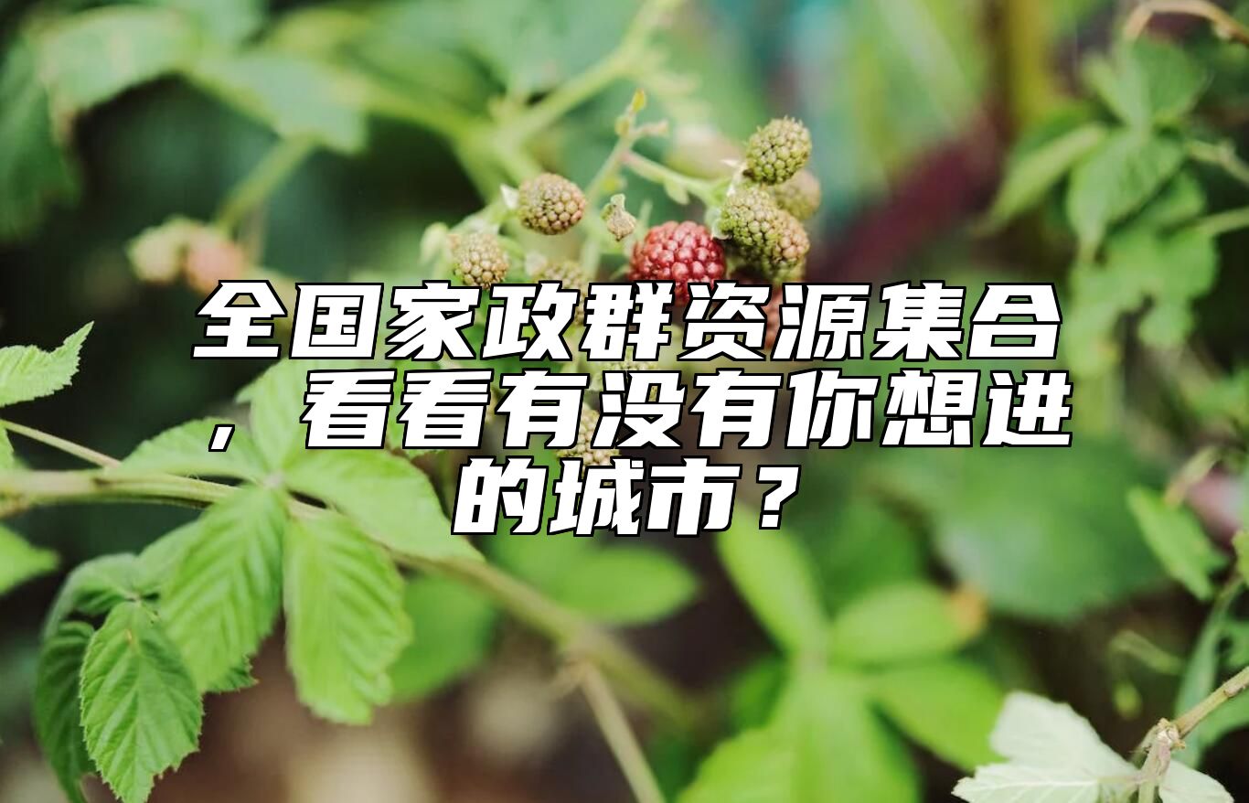 全国家政群资源集合，看看有没有你想进的城市？