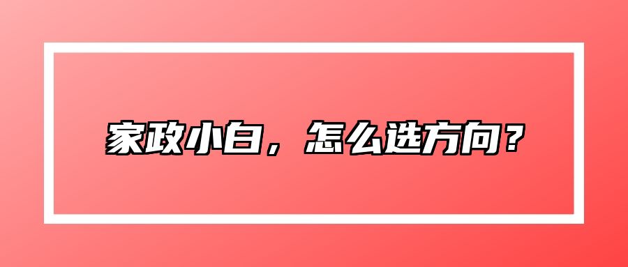 家政小白，怎么选方向？