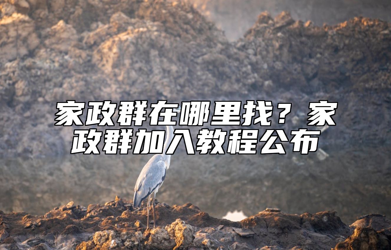 家政群在哪里找？家政群加入教程公布