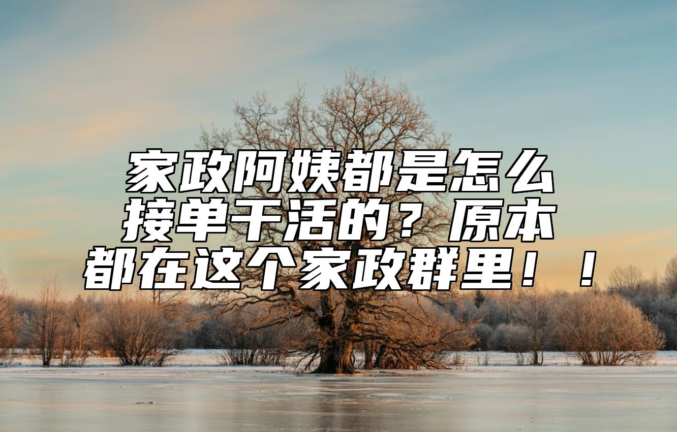 家政阿姨都是怎么接单干活的？原本都在这个家政群里！！