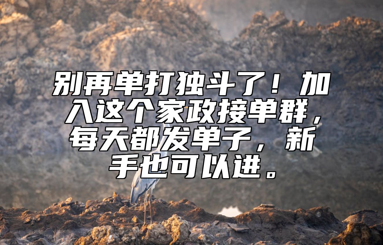 别再单打独斗了！加入这个家政接单群，每天都发单子，新手也可以进。