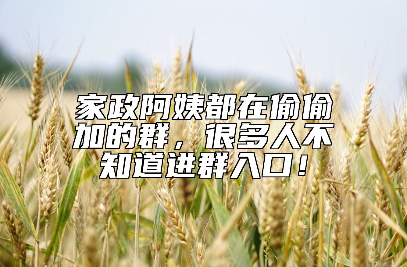 家政阿姨都在偷偷加的群，很多人不知道进群入口！