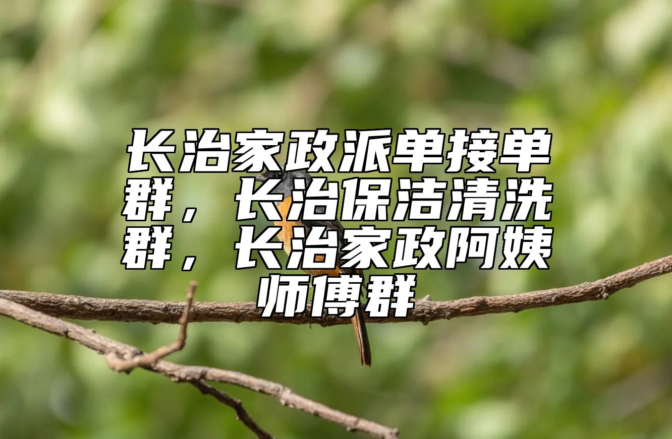 长治家政派单接单群，长治保洁清洗群，长治家政阿姨师傅群