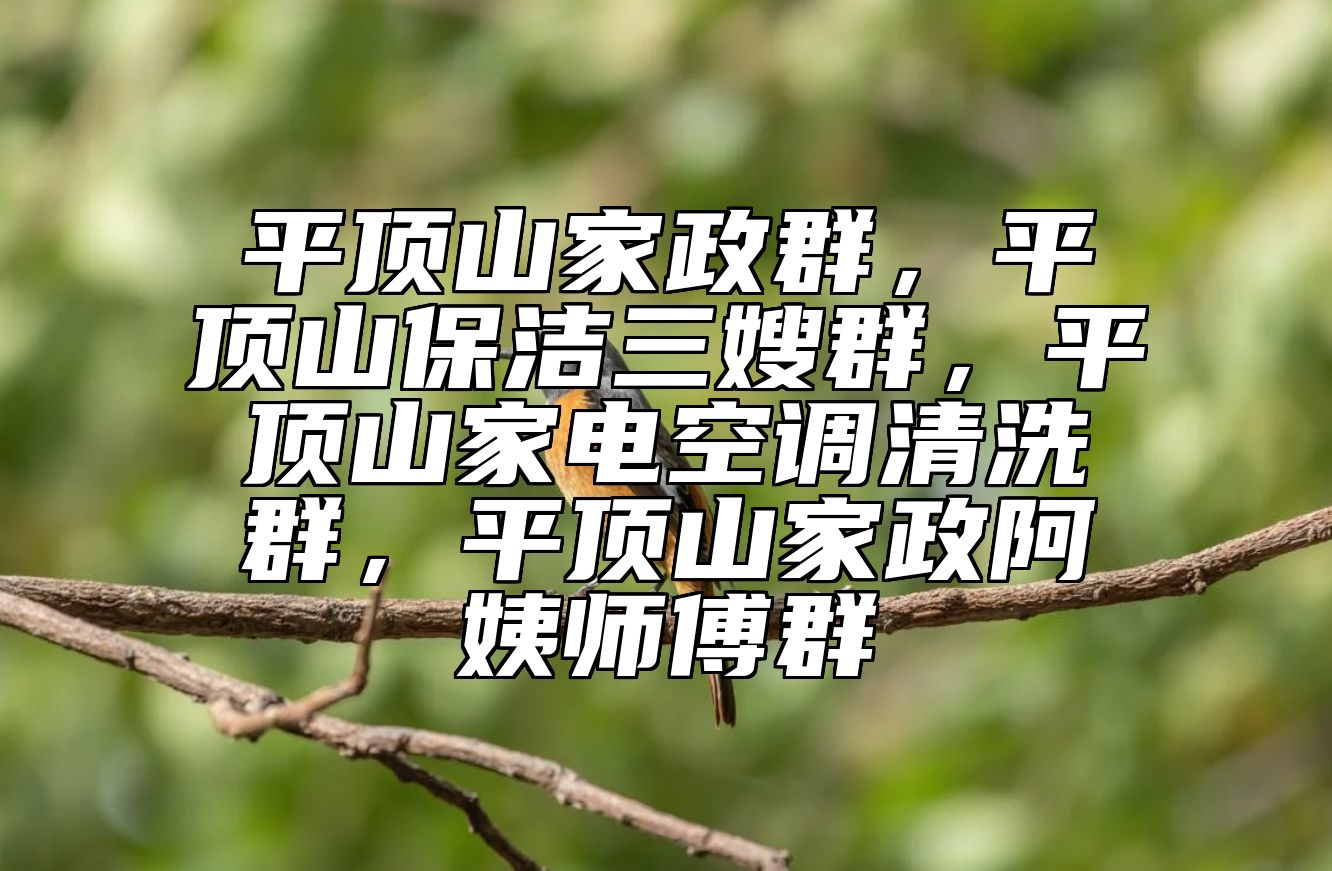 平顶山家政群，平顶山保洁三嫂群，平顶山家电空调清洗群，平顶山家政阿姨师傅群