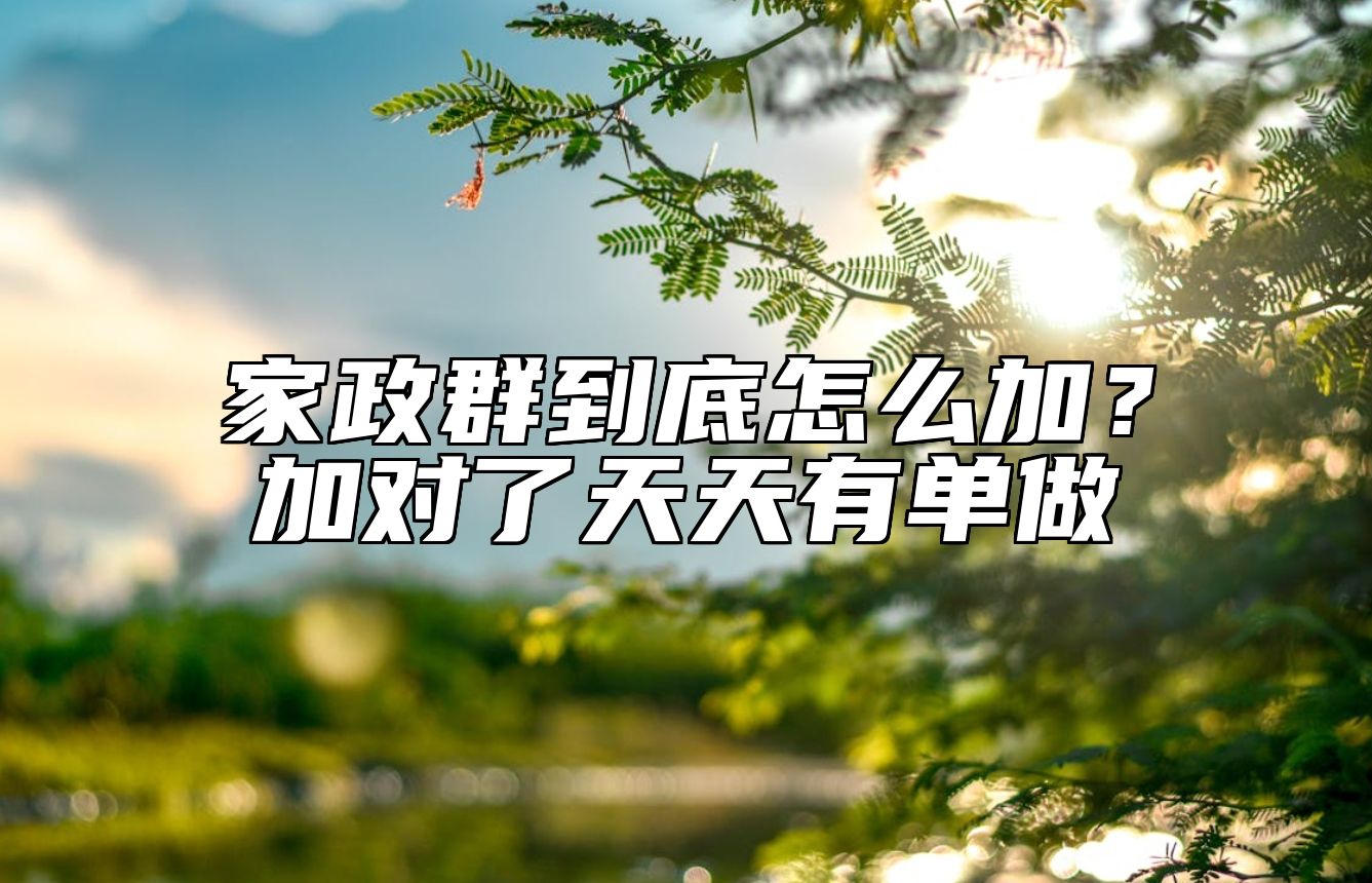 家政群到底怎么加？加对了天天有单做