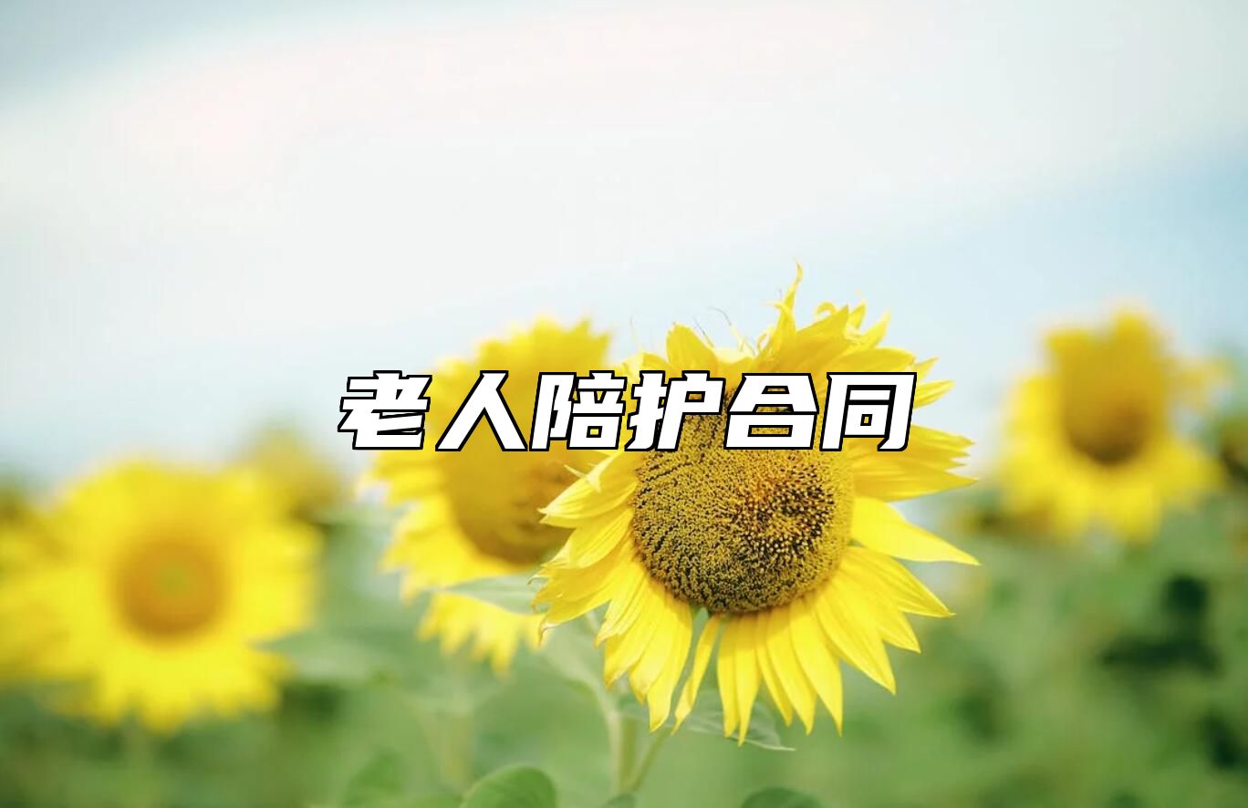 老人陪护合同
