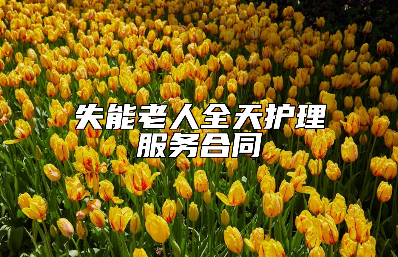 失能老人全天护理服务合同