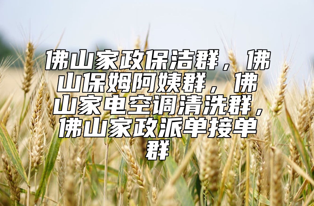 佛山家政保洁群，佛山保姆阿姨群，佛山家电空调清洗群，佛山家政派单接单群