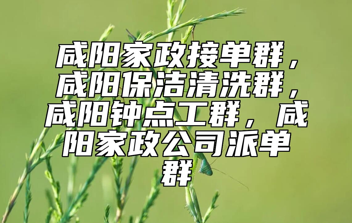 咸阳家政接单群，咸阳保洁清洗群，咸阳钟点工群，咸阳家政公司派单群
