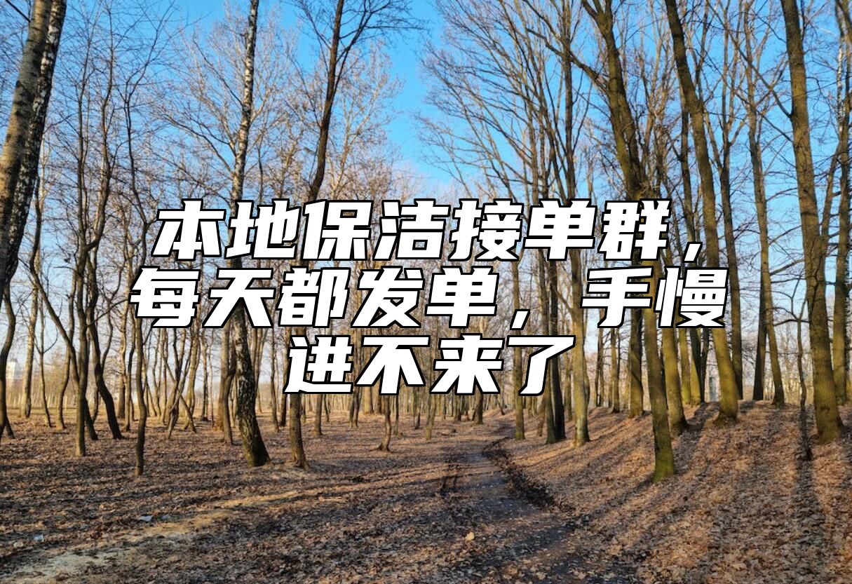 本地保洁接单群，每天都发单，手慢进不来了