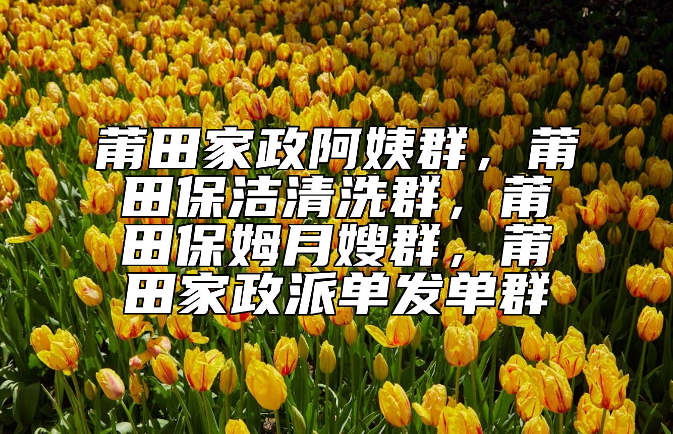 莆田家政阿姨群，莆田保洁清洗群，莆田保姆月嫂群，莆田家政派单发单群