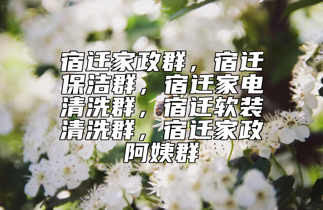 宿迁家政群，宿迁保洁群，宿迁家电清洗群，宿迁软装清洗群，宿迁家政阿姨群