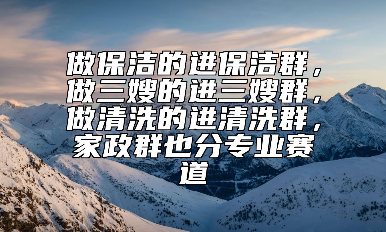 做保洁的进保洁群，做三嫂的进三嫂群，做清洗的进清洗群，家政群也分专业赛道